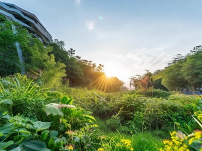 湖南光合商贸，开启绿色发展的新时代